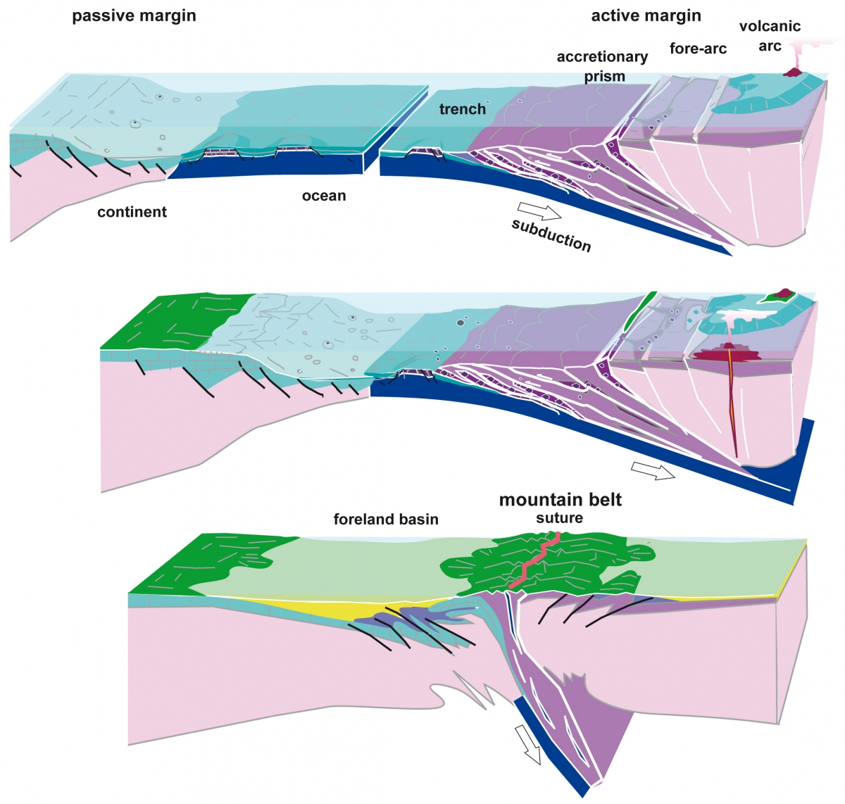 view catalysts